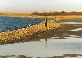 Grevelingen meer in Schouwen duiveland De Grevelingen een unieke natuur ervaring